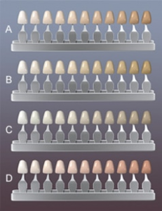 How To Choose The Right Shade| Teeth Whitening | ADC